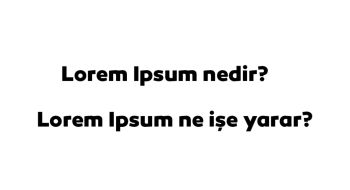 Lorem ipsum dolor sit amet, consectetur adipiscing elit. Aliquam consequat vulputate dolor ut ultrices. In hac habitasse platea dictumst. Integer egestas eget augue vitae efficitur. Phasellus et lectus eget leo interdum volutpat. Morbi et urna at ero